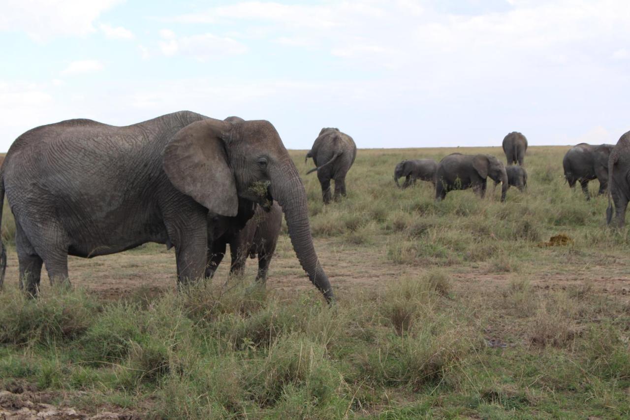 Mapito Tented Camp เซเรงเกติ ภายนอก รูปภาพ