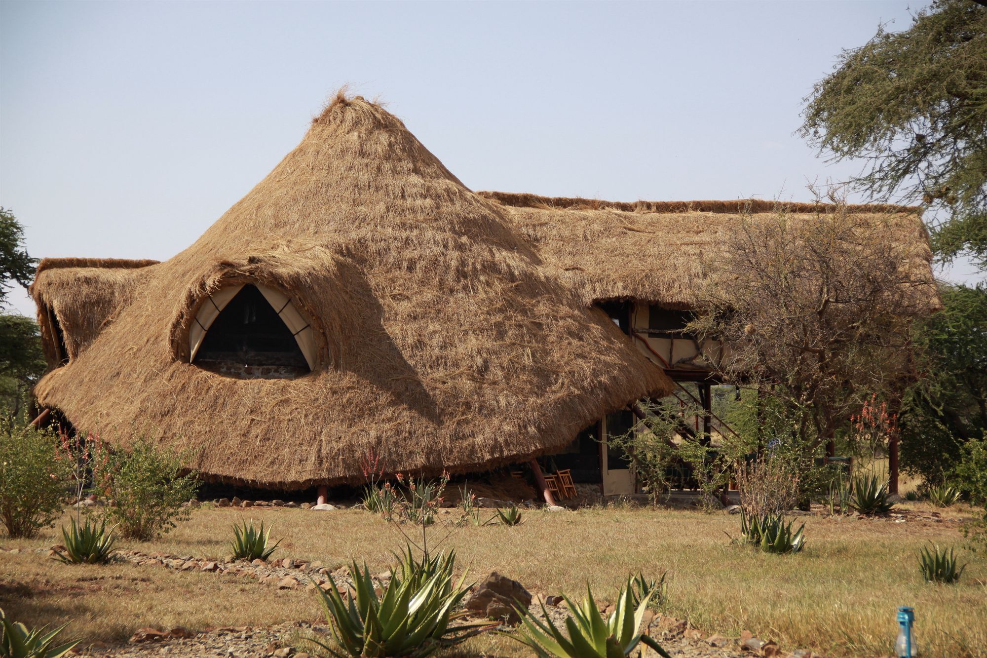 Mapito Tented Camp เซเรงเกติ ภายนอก รูปภาพ